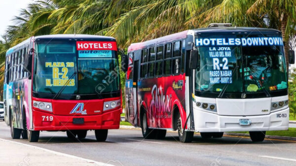 Reactivarán transporte público el cien por ciento en Cancún