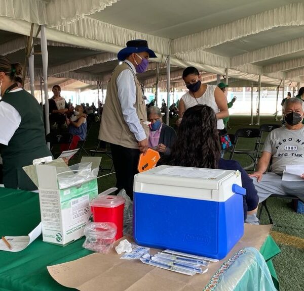 “Habrá 50 millones de mexicanos vacunados a principios de julio”: AMLO