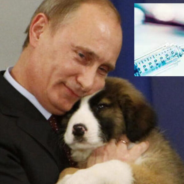 Rusia lo hace de nuevo, patenta primer vacuna covid para animales