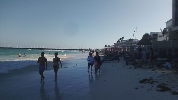 Disminuye el arribo de sargazo a Playa del Carmen.