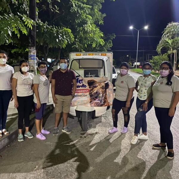 Habilitarán plataforma digital para registro de mascotas en Chetumal.