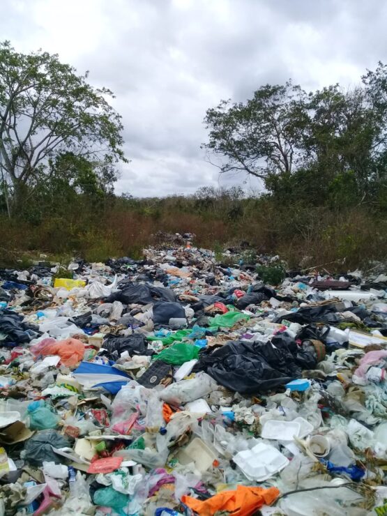 Pide atender el problema de la basura en la Ruta de los Cenotes; tiradero a cielo abierto da mala imagen al turismo en Valladolid Nuevo.