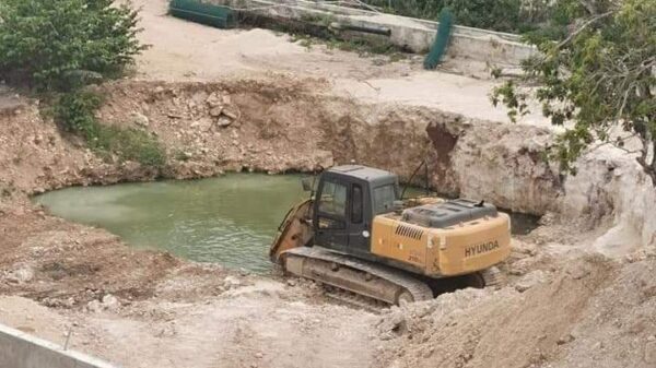 Pretende desarrolladora rellenar cenote en Playa del Carmen.