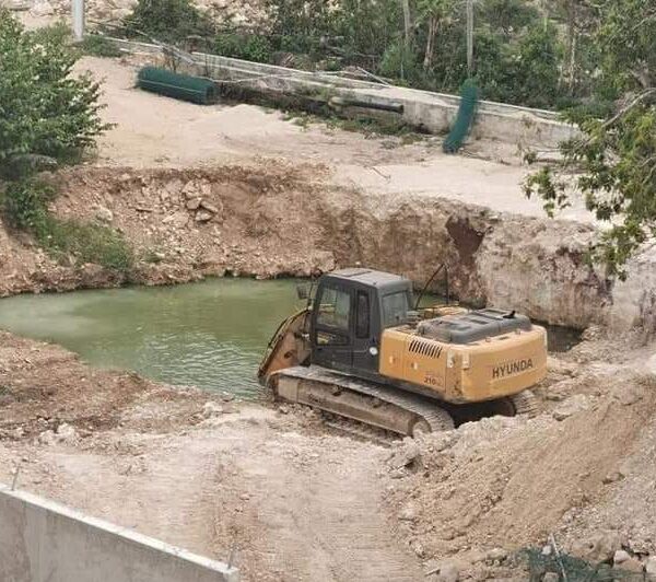 Pretende desarrolladora rellenar cenote en Playa del Carmen.