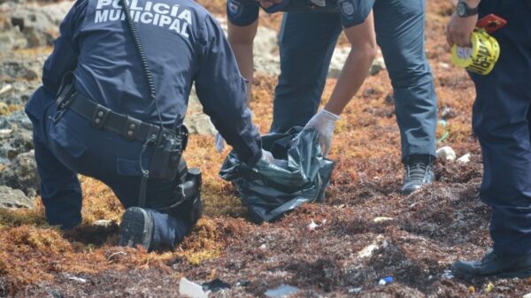 Recala ‘ladrillo’ de cocaína en la costa oriental de Cozumel.