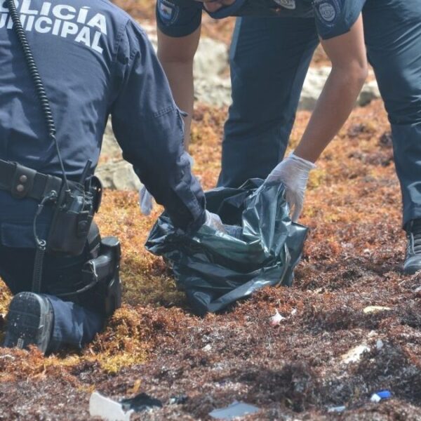 Recala ‘ladrillo’ de cocaína en la costa oriental de Cozumel.