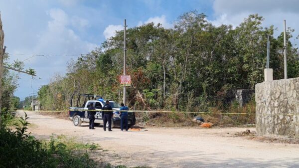Hallan a una persona sin vida en la Supermanzana 307 de Cancún.