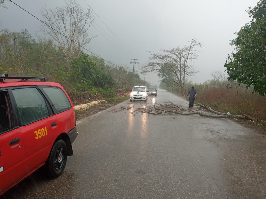 En Kantunilkín despejan carretera de árboles caídos por fuertes vientos; se coordinan autoridades con la Comisión Nacional de Emergencias.