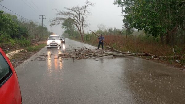 En Kantunilkín despejan carretera de árboles caídos por fuertes vientos.