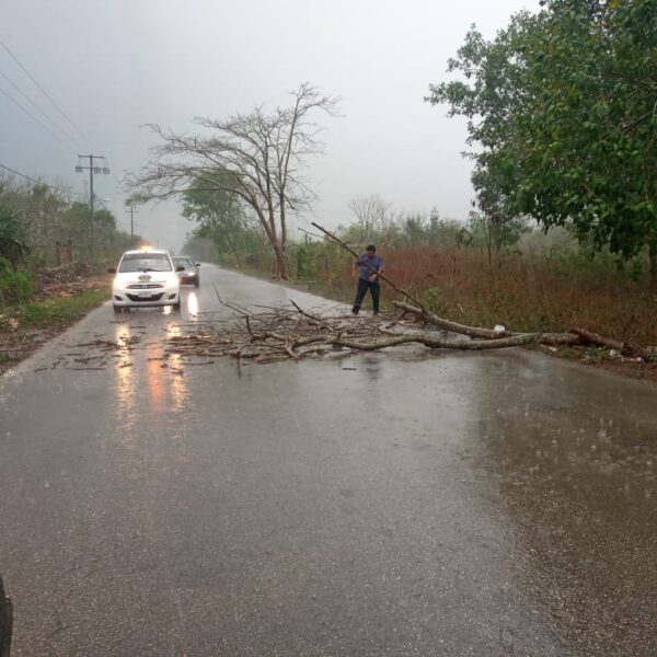 En Kantunilkín despejan carretera de árboles caídos por fuertes vientos.