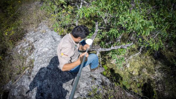 Departamento de Vectores realizarán acciones contra paludismo en Cancún.
