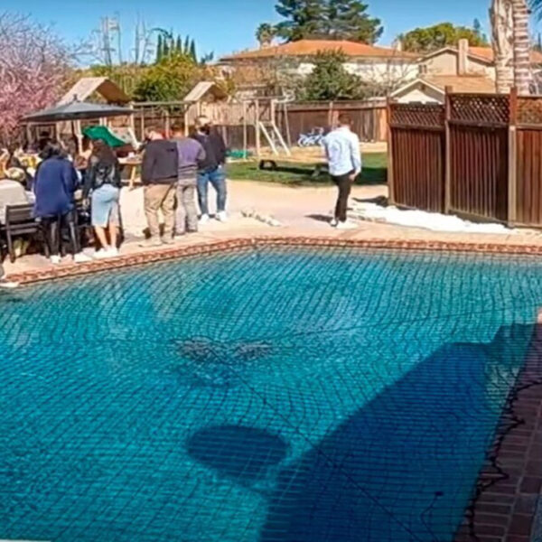 Las imágenes de un perro que cruza una alberca se viralizan en redes sociales causando toda una polémica en redes sociales