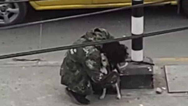 Un cantante callejero se viraliza, luego de que tras realizar su show en un semáforo nadie le diera una moneda, pero ahí estaba su fiel amigo quien lo consoló