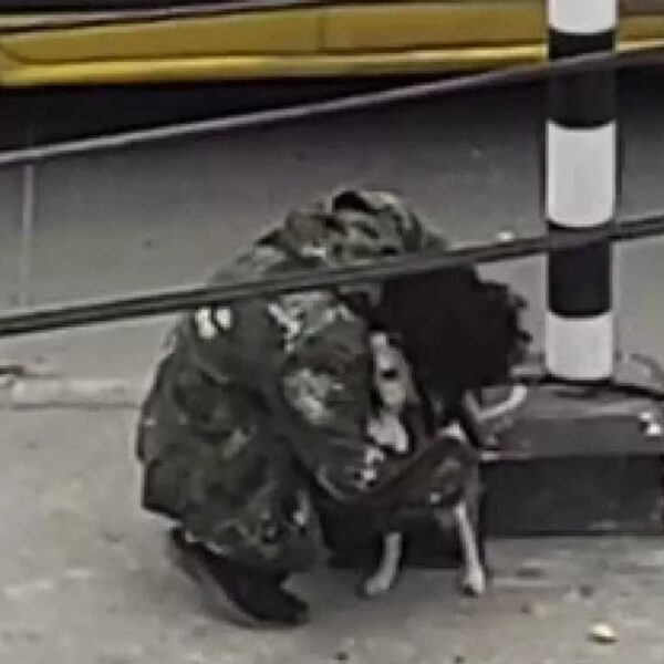 Un cantante callejero se viraliza, luego de que tras realizar su show en un semáforo nadie le diera una moneda, pero ahí estaba su fiel amigo quien lo consoló