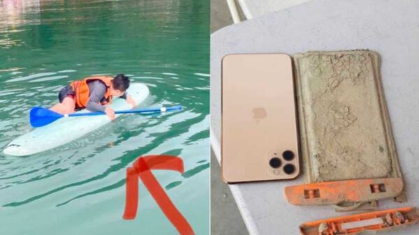 Después de un año de dar por perdido su celular, un turista identificado como Chen Yj, logró recuperarlo, el cual  seguía funcionando