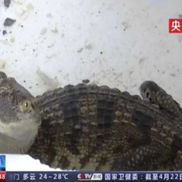 Eso de comprar por internet puede ser un arma de doble filo, pues a veces no resulta lo que esperamos