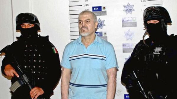 Estados Unidos dejará libre al heredero del Cártel de Tijuana.