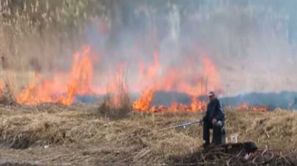 Las imágenes de un hombre que pesca en un río teniendo de fondo un incendio que arrasa con el campo se viraliza