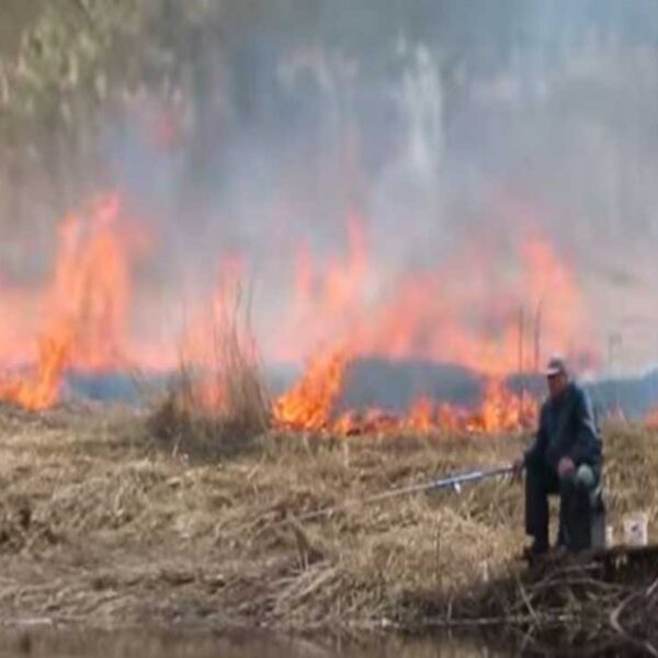 Las imágenes de un hombre que pesca en un río teniendo de fondo un incendio que arrasa con el campo se viraliza