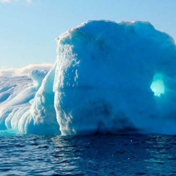 Del año 2000  a la fecha, los glaciares del mundo se han derretido a un ritmo récord por el calentamiento global