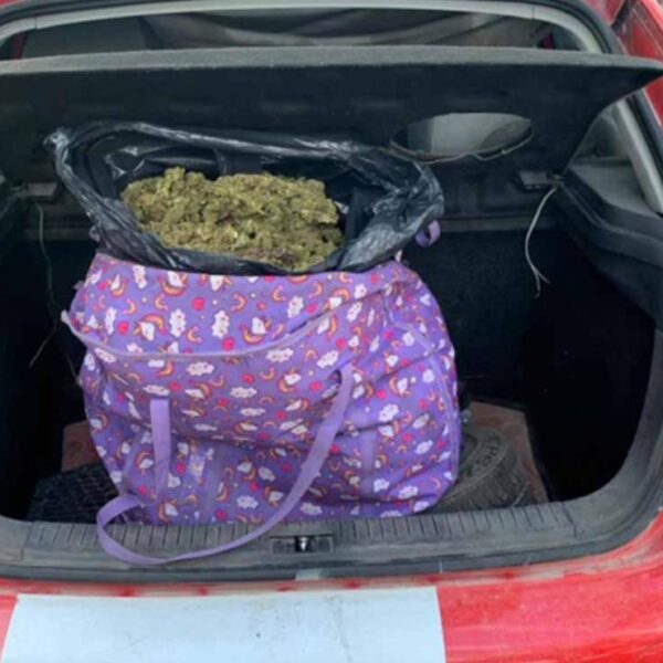 Arrestan a cinco personas con bolsa repleta de marihuana