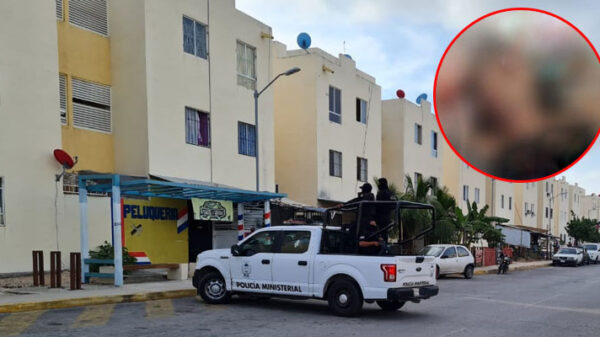 En Cancún asesinan a una mujer de un balazo en la cabeza.