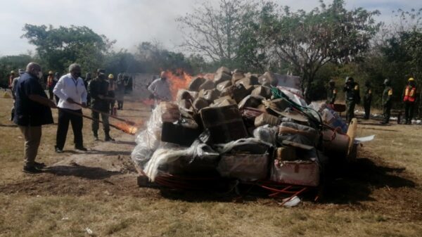 Militares destruyen más de mil kilos de narcóticos en Mérida