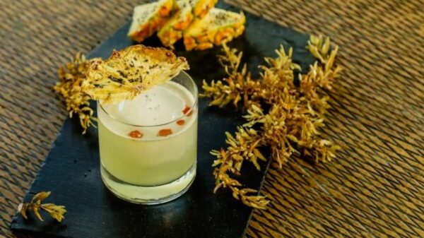 ‘Pineapple gift’, la bebida de la Rivera Maya elaborada a base de sargazo