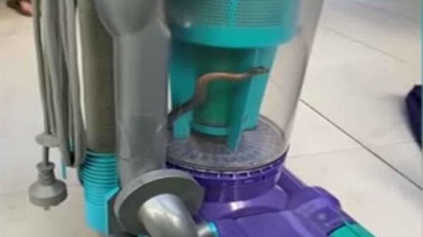 No cabe duda que reaccionar a tiempo ante los riesgos es un paso fundamental para evitar una tragedia y eso lo aplicó bien una australiana