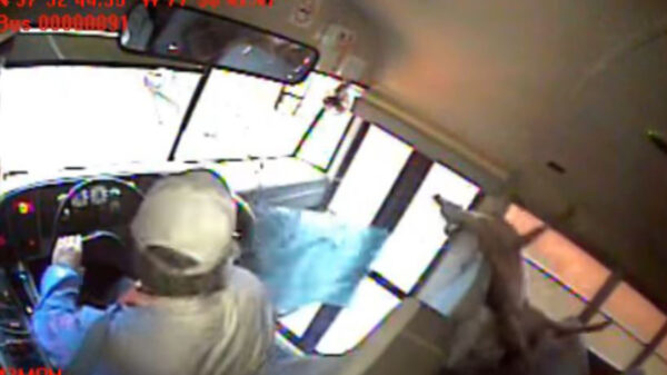 Tremendo susto que se llevó un estudiante que iba dormido cuando viajaba en el autobús escolar, al ser impactado por un venado