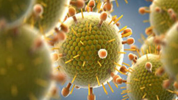 Especialistas en el área de salud y pediatría han alertado sobre el el virus, VSR , que tienen mayo riego en niño que el Covid-19