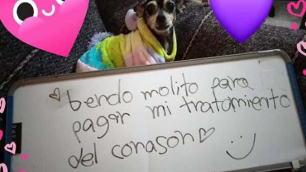 El amor por nuestras mascotas incentiva la creatividad, prueba de ello, es la curiosa foto de un perrito sosteniendo el letrero donde promueven la venta de mole