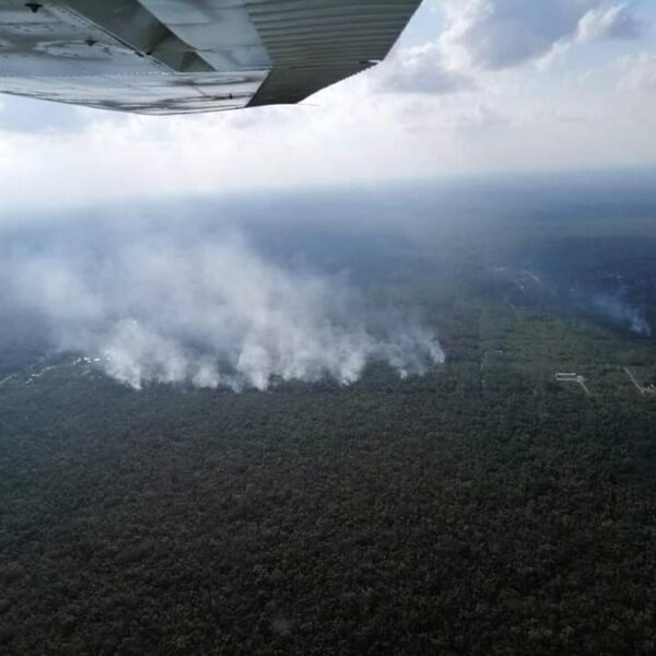 Afectadas 942 hectáreas de vegetación por 23 incendios forestales en Quintana Roo.