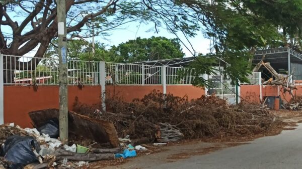 Quintana Roo: 15 de junio arrancaría el proceso de recuperación de escuelas