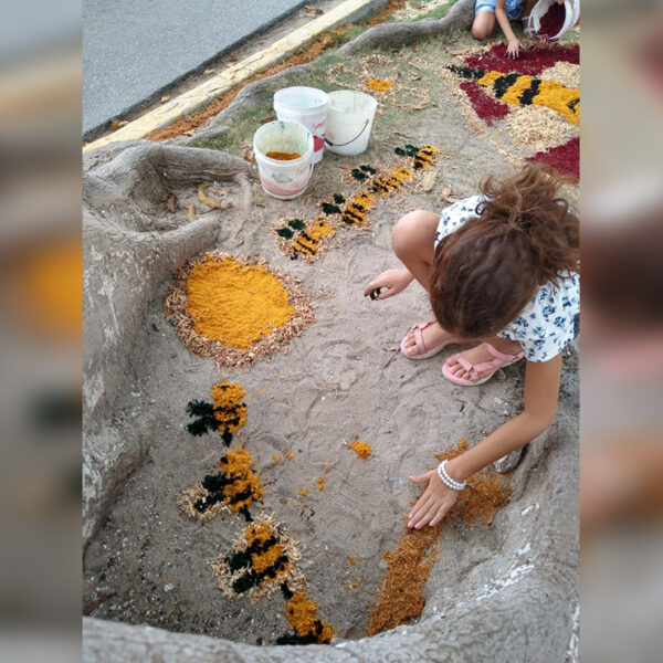 Con exposición, lanzan llamado a proteger a las abejas en Puerto Morelos
