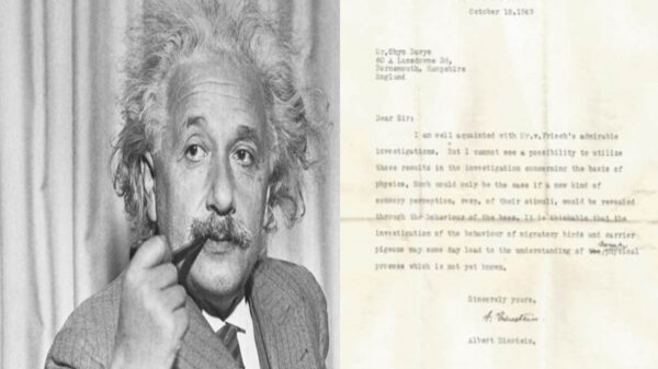 Albert Einstein, se adelantó a su tiempo, al intuir sobre los supersentidos en los animales destacando las aves