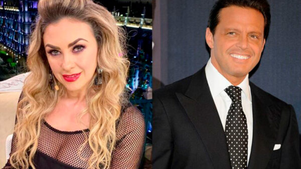 Aracely Arámbula logra acuerdo para que su nombre salga en "Luis Miguel: La serie"