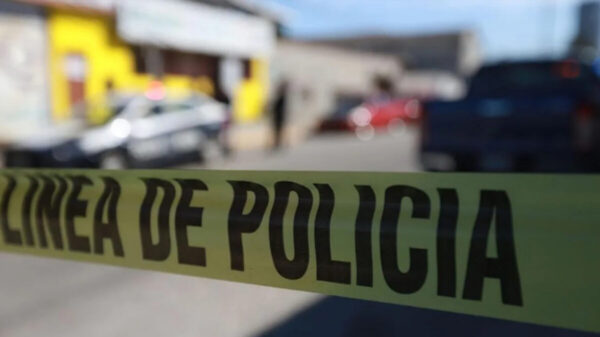 Sujeto asesina a su pareja y le roba auto para escapar