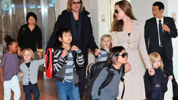 Brad Pitt tendrá custodia compartida le guste o no a Angelina Jolie