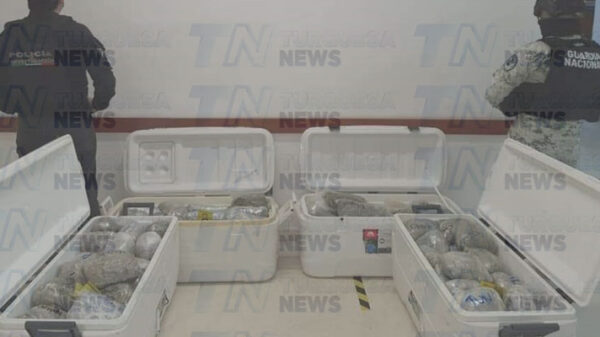 Cozumel: Incautaron 50 kilos de droga en el cateo a casa de El Encanto.