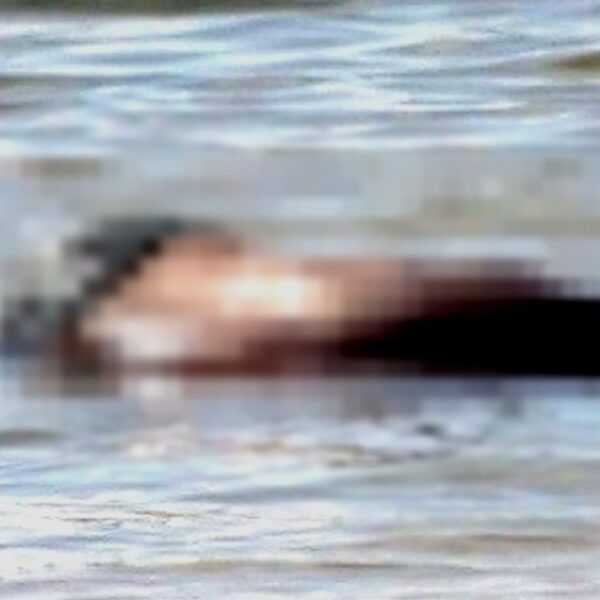 Hallan flotando el cadáver de un joven en aguas del puerto de Sisal