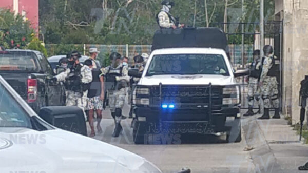 Catean narco-casa en Cozumel y aseguran 50 kilos de droga