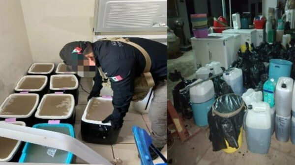 Decomisan en Sinaloa más de una tonelada de metanfetamina