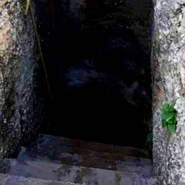 Joven de 24 años muere ahogado en un cenote de Kopomá