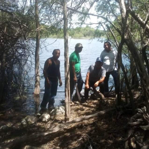 Desinterés de ejidatarios de Kantunilkín por polígono dos