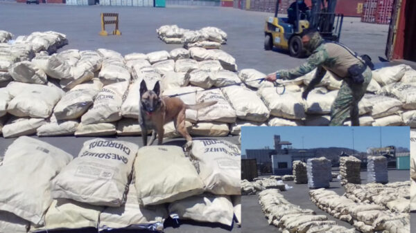 Logra SEMAR enorme decomiso de mas de 700 kilos de alcaloides