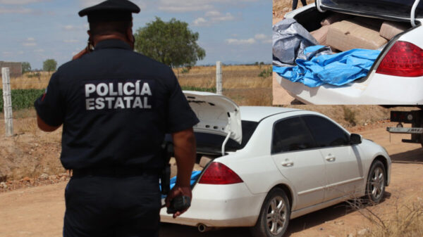 Decomisan más de 100 kilos de marihuana, valuada en 500 mil pesos