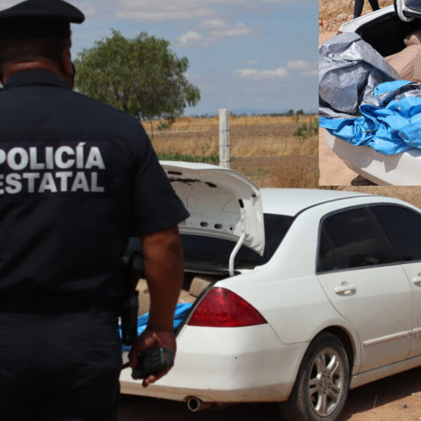 Decomisan más de 100 kilos de marihuana, valuada en 500 mil pesos