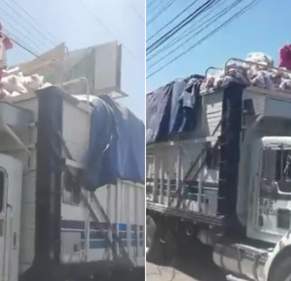 PAN-PRI-PRD brincan veda electoral entregan despensas “frijol con gorgojo”