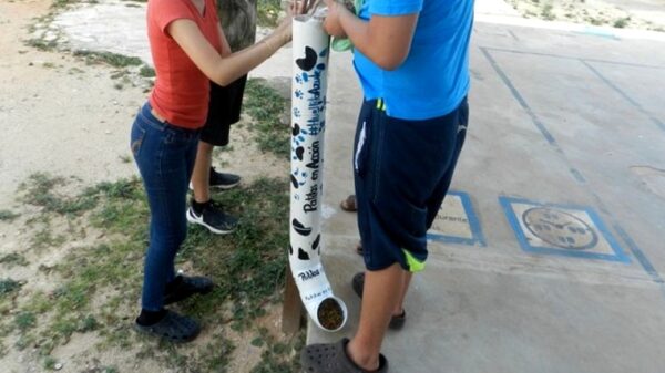 Grupo “Acción Juvenil” denuncia el robo de dispensadores de comida para perros de la calle en Peto
